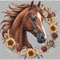 Animal Integration-DW 589